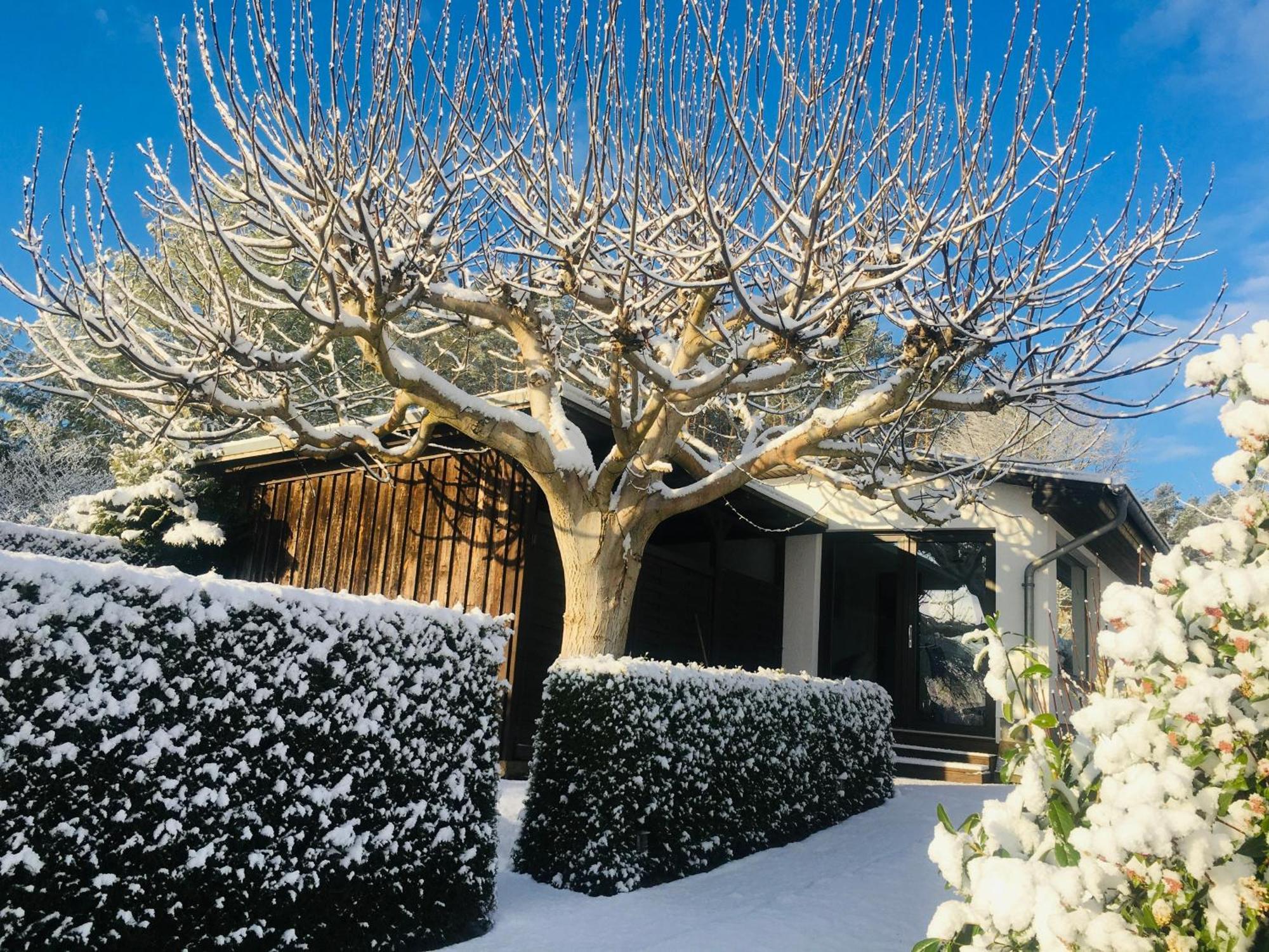 Ferienhaus Seeresidenz Am Muehlensee Godern Eksteriør bilde
